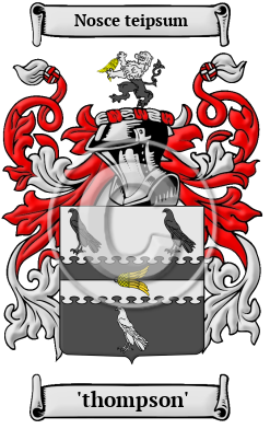 'thompson' Family Crest Download (JPG) Heritage Series - 600 DPI