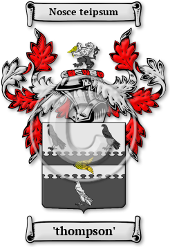 'thompson' Family Crest Download (JPG) Legacy Series - 600 DPI