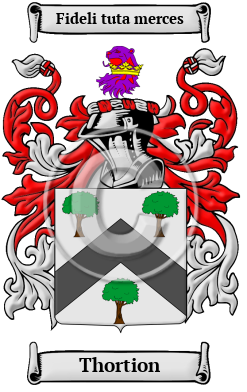 Thortion Family Crest/Coat of Arms