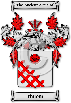 Thuem Family Crest Download (jpg) Legacy Series - 150 DPI