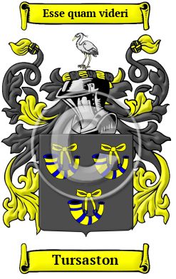 Tursaston Family Crest/Coat of Arms