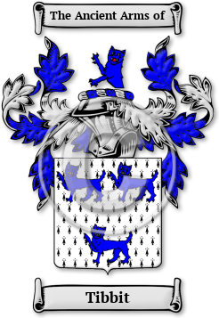 Tibbit Family Crest Download (jpg) Legacy Series - 150 DPI