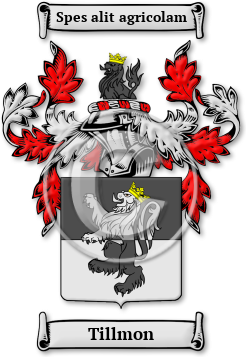 Tillmon Family Crest Download (jpg) Legacy Series - 150 DPI