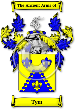 Tym Family Crest Download (jpg) Legacy Series - 150 DPI