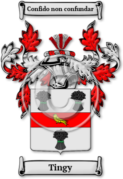 Tingy Family Crest Download (jpg) Legacy Series - 150 DPI