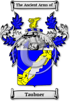 Taubner Family Crest Download (jpg) Legacy Series - 150 DPI