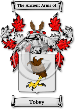 Tobey Family Crest Download (jpg) Legacy Series - 150 DPI