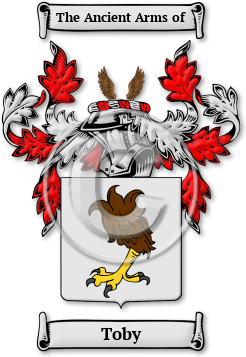 Toby Family Crest Download (JPG) Legacy Series - 600 DPI