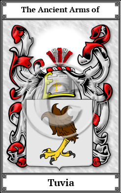 Tuvia Family Crest Download (JPG)  Book Plated - 150 DPI