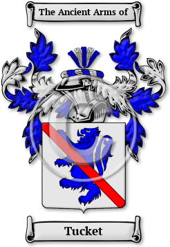 Tucket Family Crest Download (jpg) Legacy Series - 150 DPI