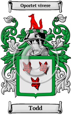 Todd Family Crest/Coat of Arms