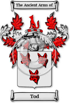 Tod Family Crest Download (jpg) Legacy Series - 150 DPI