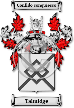 Talmidge Family Crest Download (jpg) Legacy Series - 150 DPI