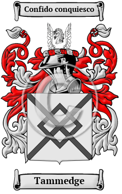 Tammedge Family Crest/Coat of Arms