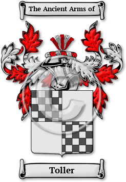 Toller Family Crest Download (JPG) Legacy Series - 600 DPI