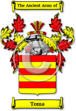 Toma Family Crest Download (JPG) Legacy Series - 300 DPI