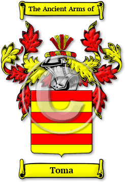 Toma Family Crest Download (jpg) Legacy Series - 150 DPI