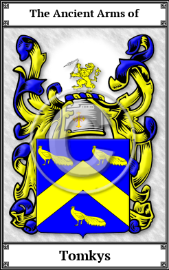 Tomkys Family Crest Download (JPG) Book Plated - 300 DPI