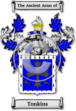 Tonkins Family Crest Download (jpg) Legacy Series - 150 DPI
