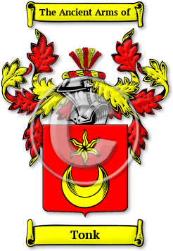 Tonk Family Crest Download (JPG) Legacy Series - 600 DPI
