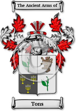 Tons Family Crest Download (jpg) Legacy Series - 150 DPI