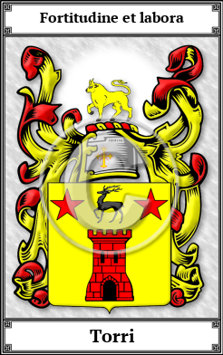 Torri Family Crest Download (JPG) Book Plated - 600 DPI