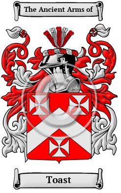 Toast Family Crest/Coat of Arms