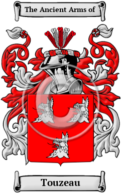 Touzeau Family Crest/Coat of Arms