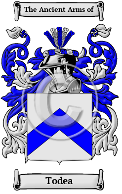 Todea Family Crest/Coat of Arms