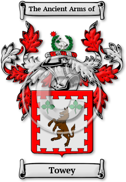 Towey Family Crest Download (JPG) Legacy Series - 300 DPI