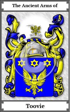 Toovie Family Crest Download (JPG)  Book Plated - 150 DPI