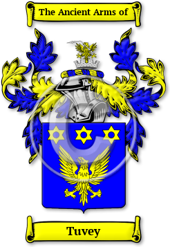Tuvey Family Crest Download (jpg) Legacy Series - 150 DPI