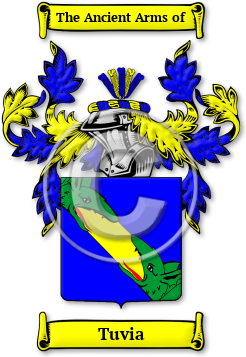 Tuvia Family Crest Download (JPG) Legacy Series - 600 DPI