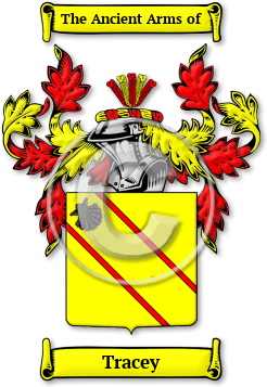 Tracey Family Crest Download (JPG) Legacy Series - 300 DPI