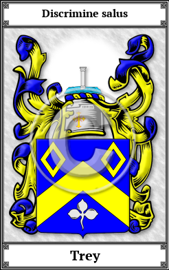 Trey Family Crest Download (JPG)  Book Plated - 150 DPI