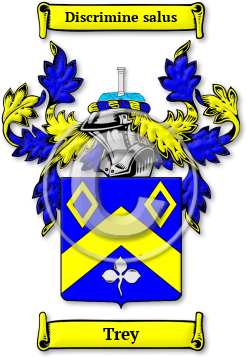 Trey Family Crest Download (jpg) Legacy Series - 150 DPI
