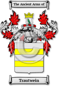 Trautwein Family Crest Download (jpg) Legacy Series - 150 DPI