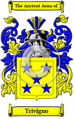 Trivigno Family Crest/Coat of Arms