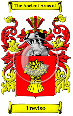 Treviso Family Crest/Coat of Arms