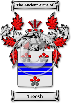 Treesh Family Crest Download (JPG) Legacy Series - 600 DPI