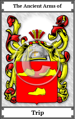Trip Family Crest Download (JPG)  Book Plated - 150 DPI