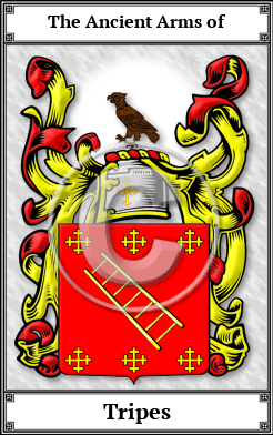 Tripes Family Crest Download (JPG)  Book Plated - 150 DPI