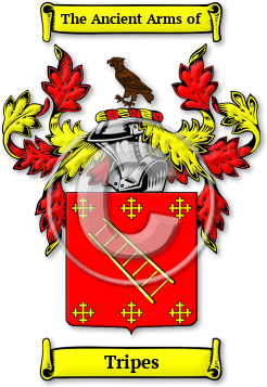 Tripes Family Crest Download (jpg) Legacy Series - 150 DPI