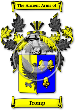 Tromp Family Crest Download (jpg) Legacy Series - 150 DPI