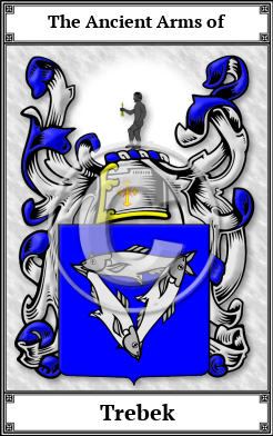 Trebek Family Crest Download (JPG)  Book Plated - 150 DPI