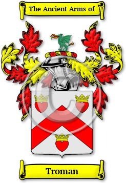 Troman Family Crest Download (JPG) Legacy Series - 600 DPI