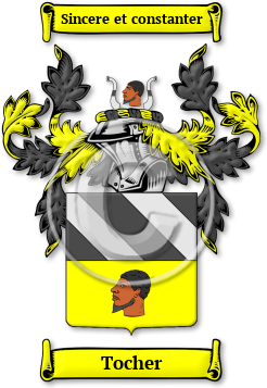 Tocher Family Crest Download (jpg) Legacy Series - 150 DPI