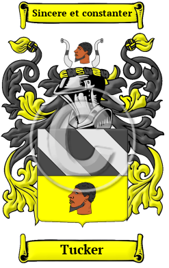 Tucker Family Crest/Coat of Arms