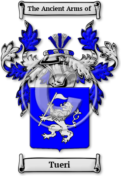 Tueri Family Crest Download (JPG) Legacy Series - 600 DPI