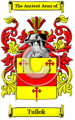 Tullok Family Crest/Coat of Arms